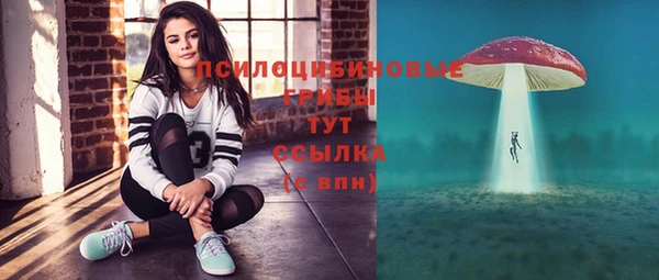 мяу мяу мука Белоозёрский