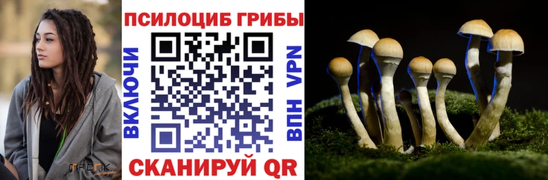 купить наркотики цена  Кодинск  ссылка на мегу ТОР  Псилоцибиновые грибы Magic Shrooms 